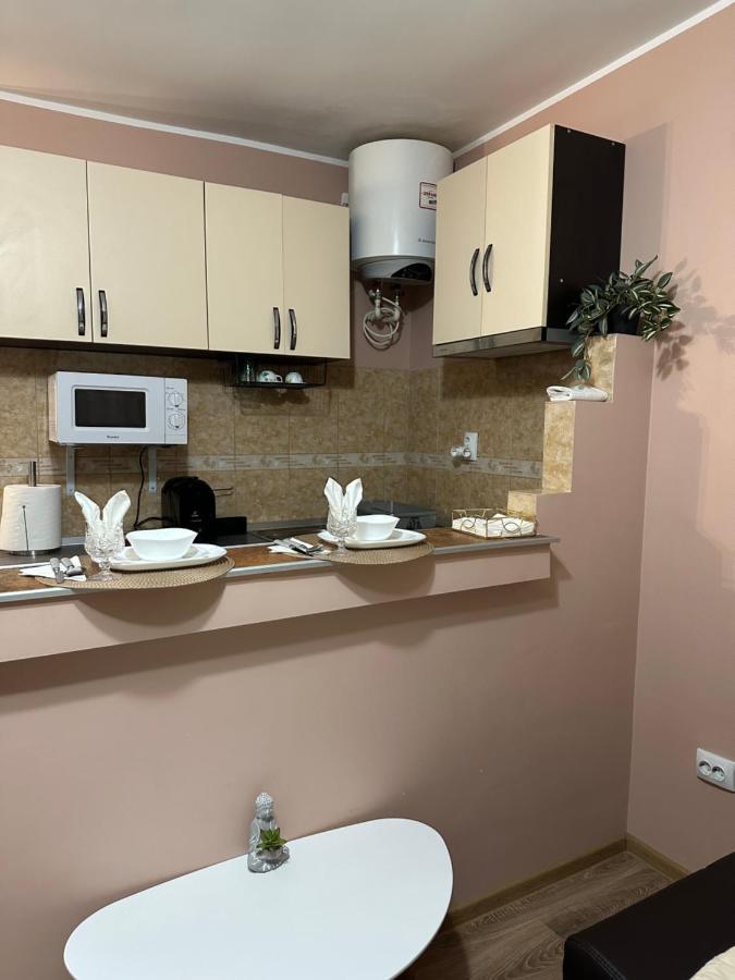 Cozy Apartament Galaţi エクステリア 写真