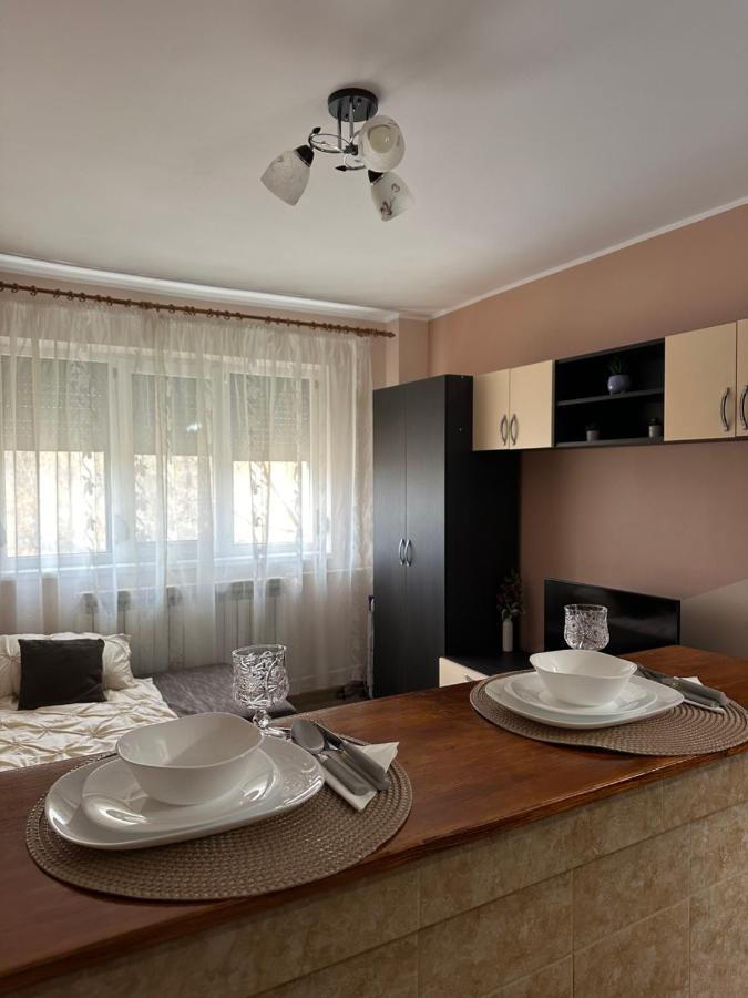 Cozy Apartament Galaţi エクステリア 写真