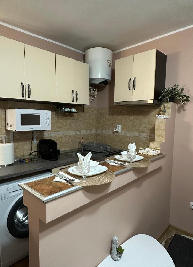 Cozy Apartament Galaţi エクステリア 写真