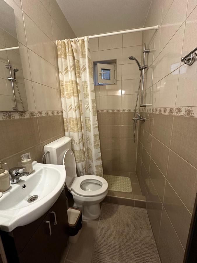 Cozy Apartament Galaţi エクステリア 写真
