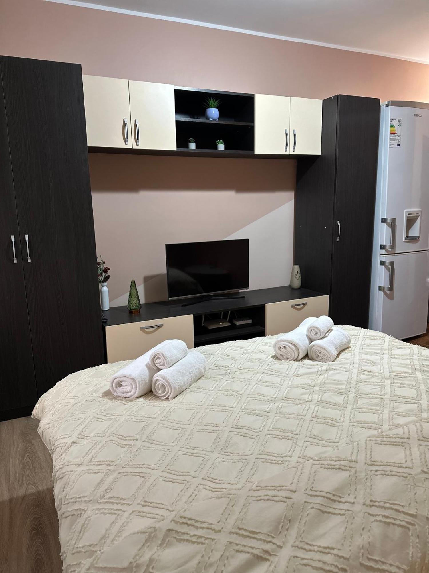 Cozy Apartament Galaţi エクステリア 写真